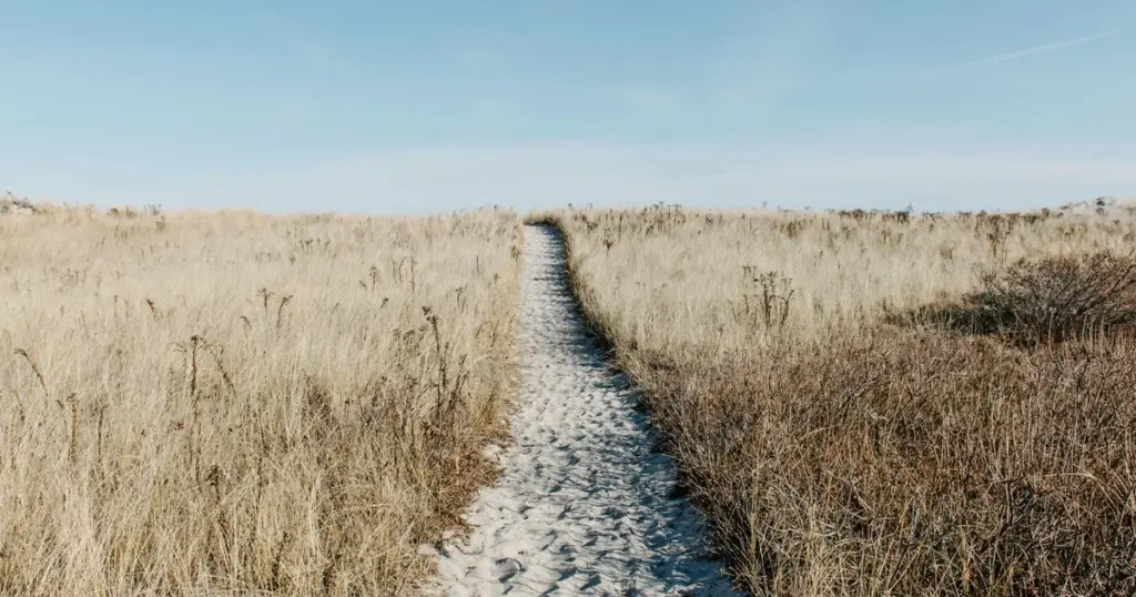 Sandy path through dry grass landscape representing the question: how long does therapy take?