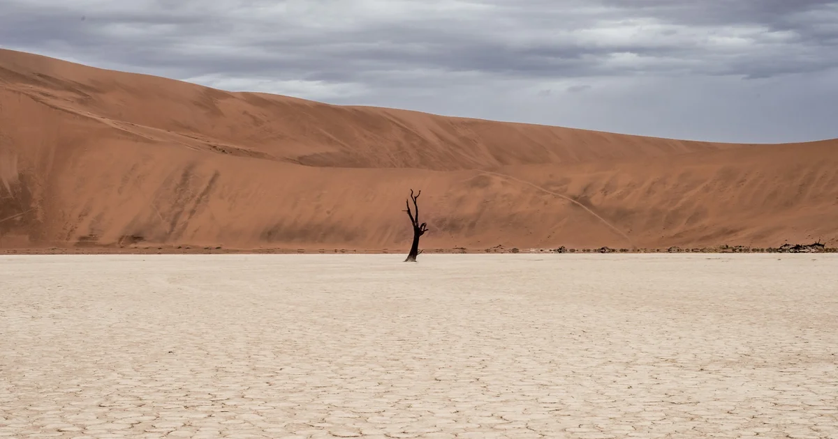 Minimal desert landscape with solitary tree symbolising the psychological "desert phase" of therapy and transformation
