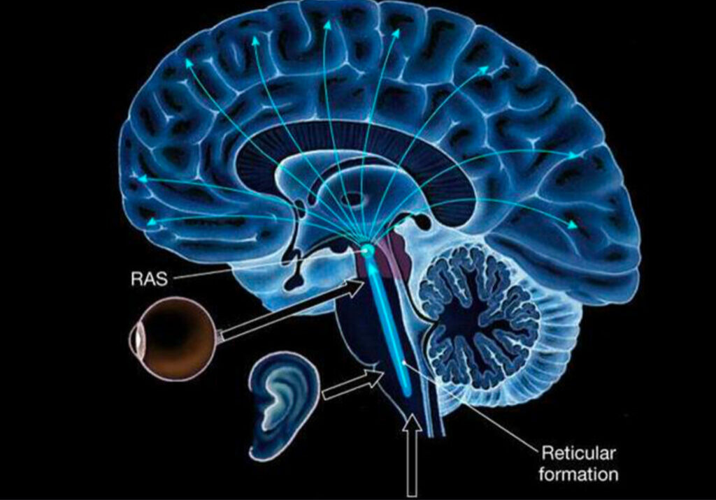 IMG_0511 Changing the brain with Psychotherapy in Berlin